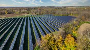 A solar farm in a forest clearing.