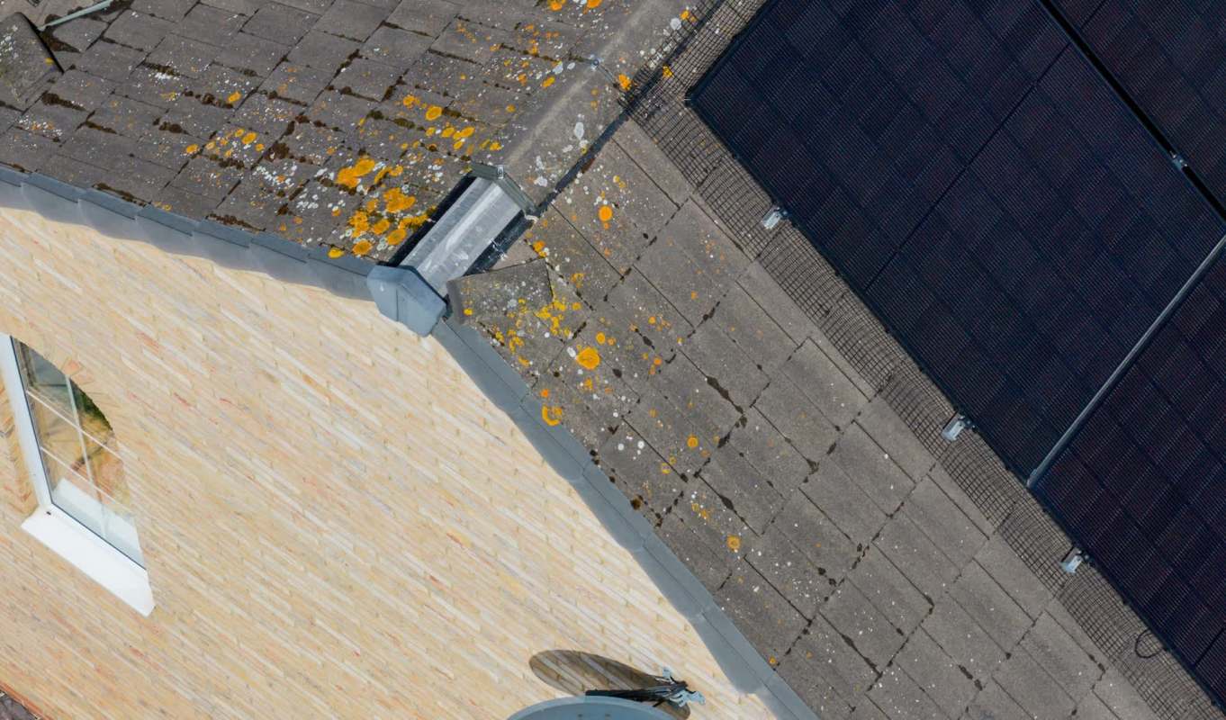 A rooftop with moss and lichen growth, alongside solar panels and a chimney.