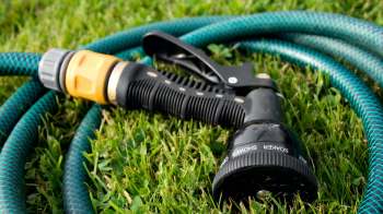 A garden hose with a spray nozzle lies on the grass.