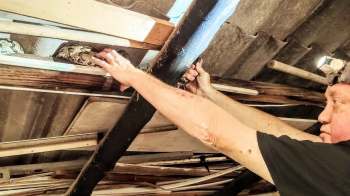 A person reaches up to handle a snake in a cluttered space with wooden beams and metal pipes.