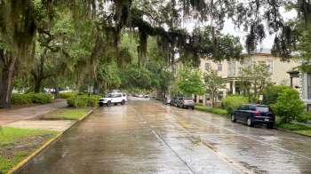 A residential street in Savannah on a rainy day.