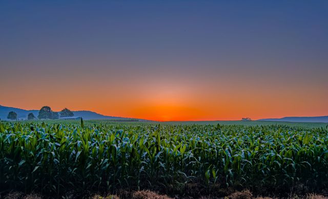 A 16-0 vote pushed data centers and crypto mines off Tennessee farmland