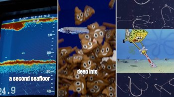 A sonar display showing underwater topography alongside animated elements and a character from a cartoon scene.