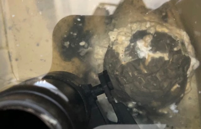 An underwater view of an object with a textured surface, partially obscured by murky water.