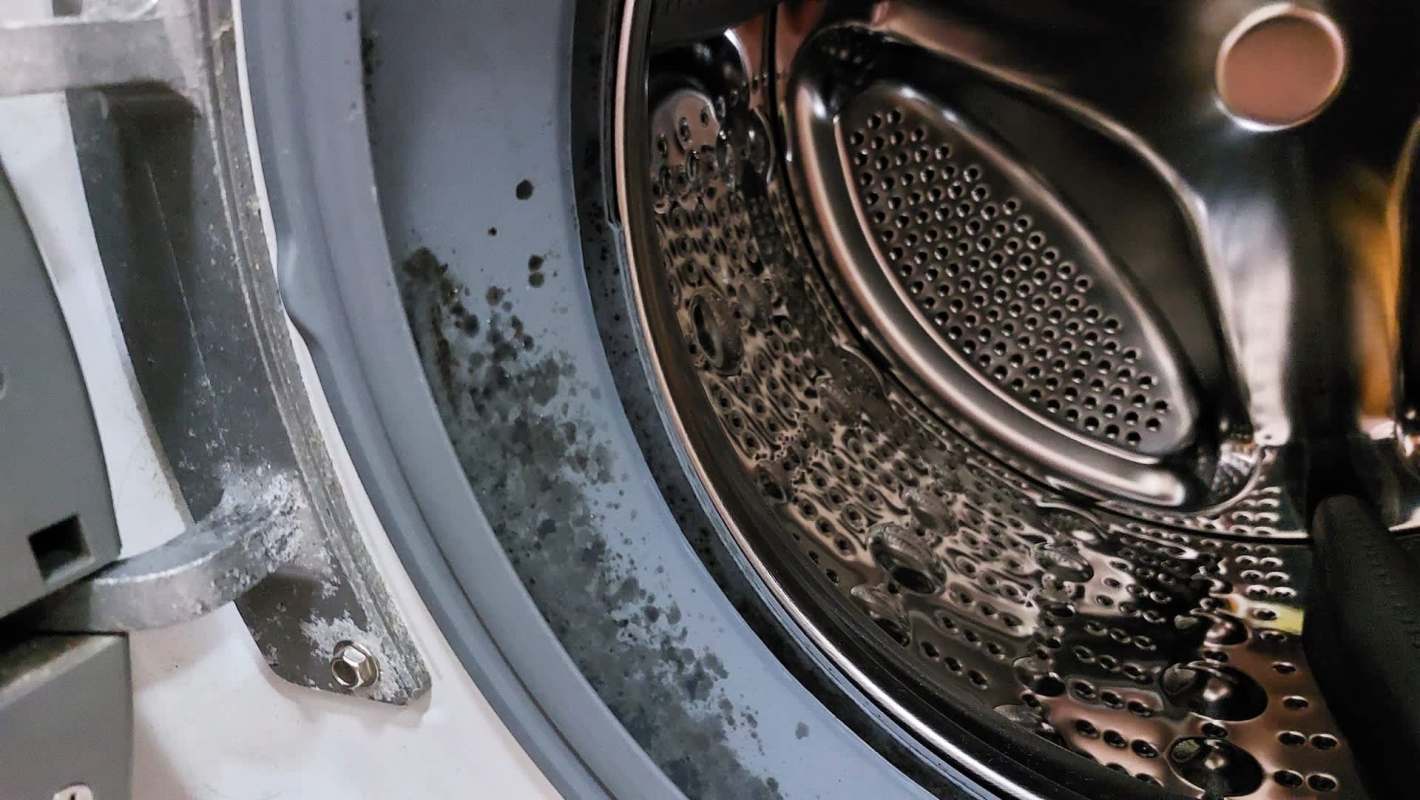 Mold inside a washing machine.