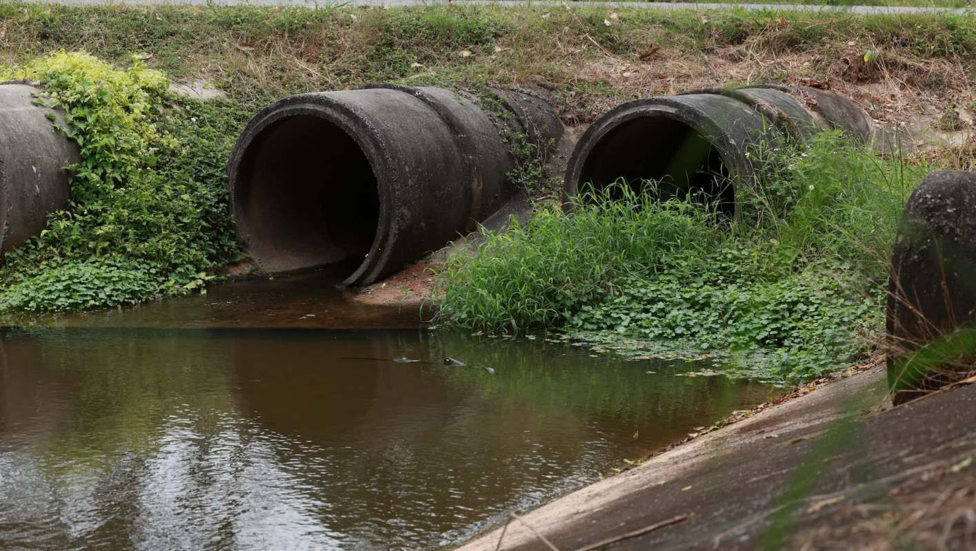Two large drainage pipes beside a waterway, surrounded by grass and small plants.